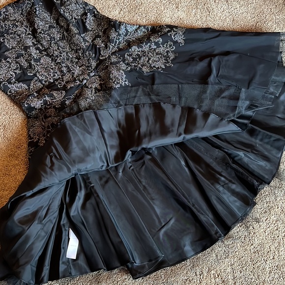 Platinum Laundry by Shelli Segal Party Dress. Size 14 - Picture 7 of 10